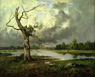French River Landscape
